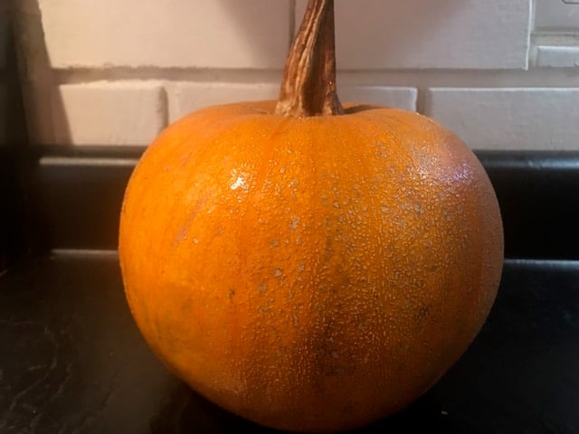 Pumpkins…. Need I say more?